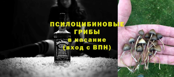 ешки Бородино
