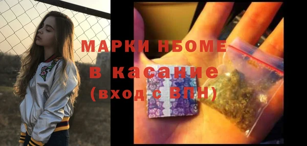 ешки Бородино