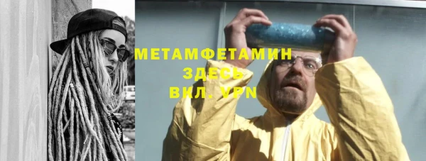 прущие грибы Бронницы