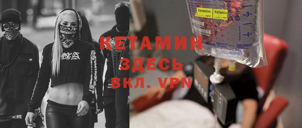 прущие грибы Бронницы