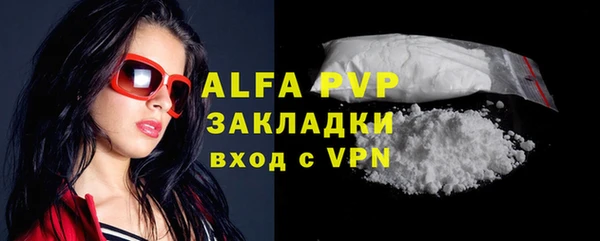ешки Бородино