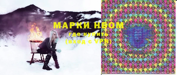 прущие грибы Бронницы