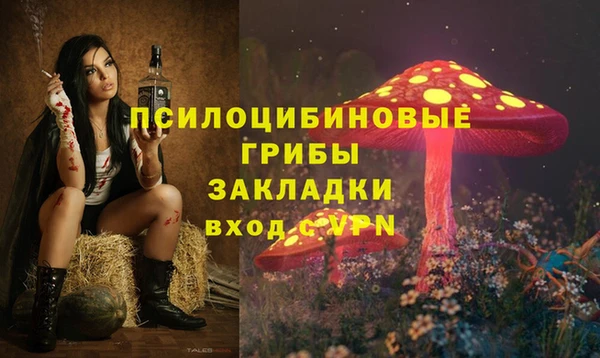 прущие грибы Бронницы