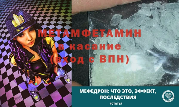 прущие грибы Бронницы