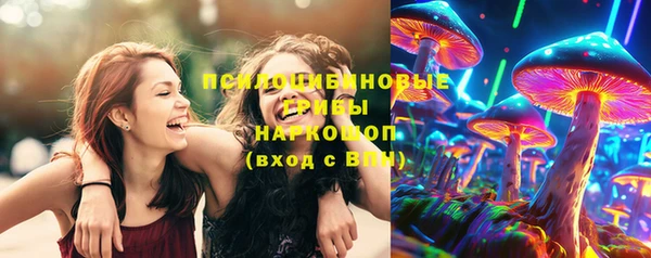 ешки Бородино