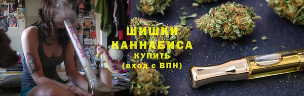 ешки Бородино